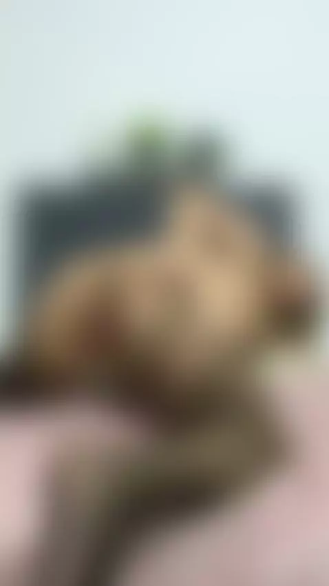 I can sit on your cock by charlottelabouff