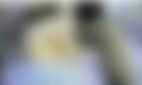 Como me gusta que me hagan mojar mi chocha mientras vibra mi... by sweetsammyxxx