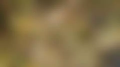 Video by beaumecxtrem