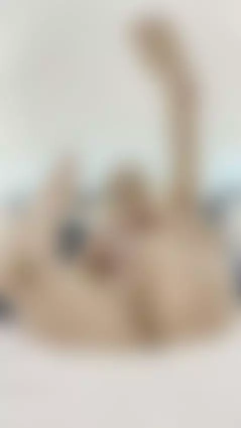 Video by gabrielladeville