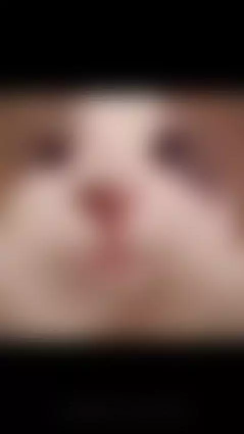 kiss me 💋❤️‍🔥 by nitah