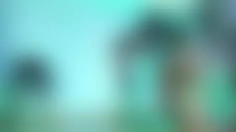 🍀 Happy St. Paddy's Day🍀 by archiecollins