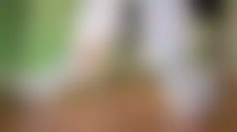 socks, footfetish by archiecollins