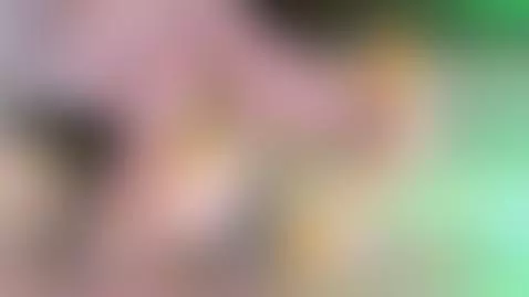 yellow yellow yellow by archiecollins