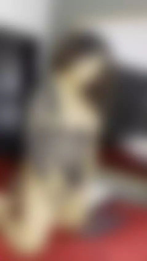 Pregnancy makes me very horny by catmary1