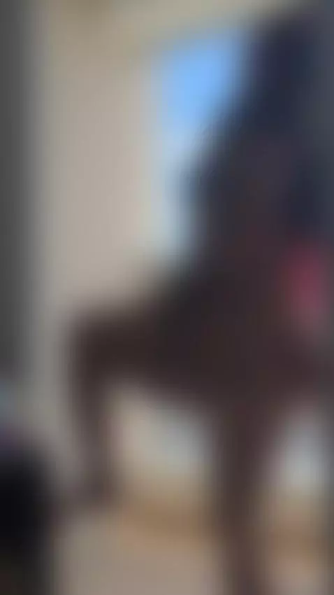 quieres ser mi vecino? by redgaia07