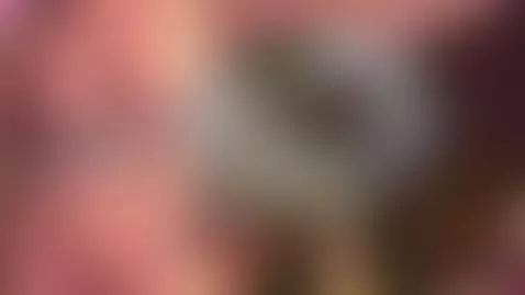 You like my cock 😘❤️❤️ by hornycrori42