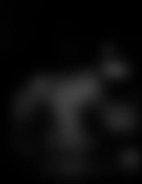 what if i crept up on you in the night! by letssgooojr