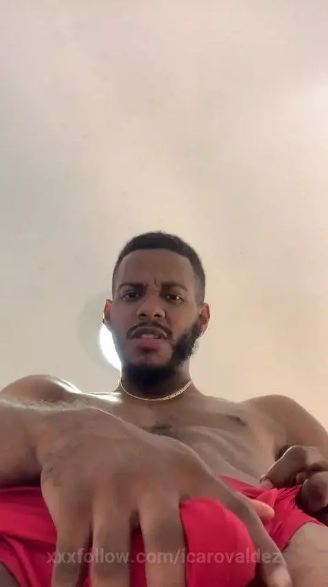 You like the view by icarovaldez