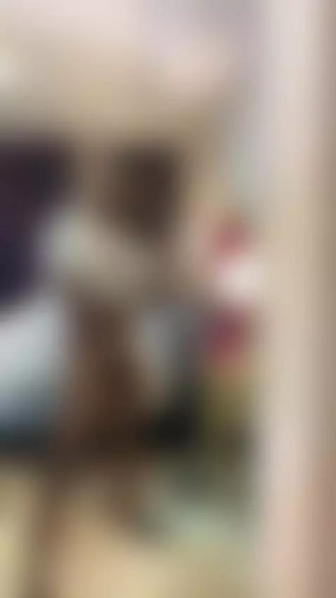 did u miss me? by icarovaldez