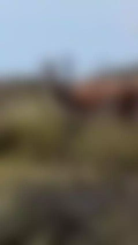 dildo, masturbation, anal by sweetsiennacruz