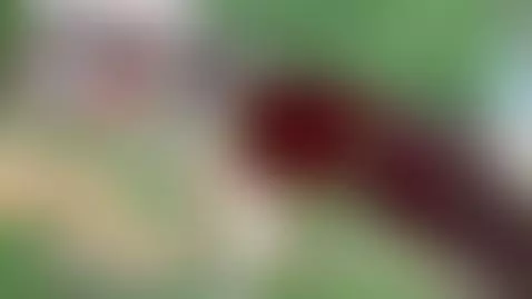 What do you think of my home video?😍 by amelimeed