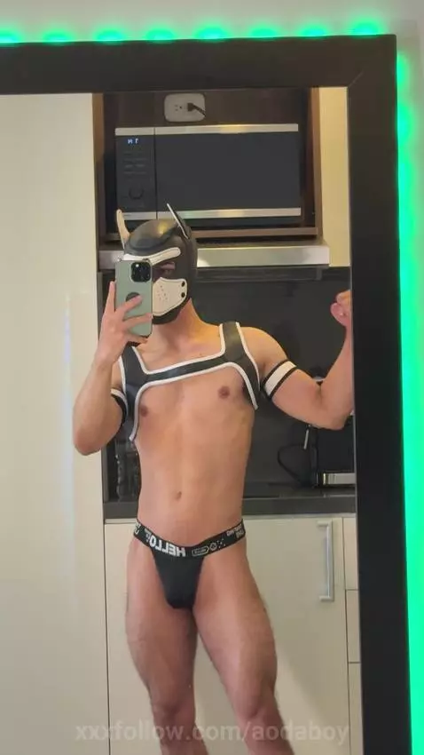 alpha domination by aodaboy