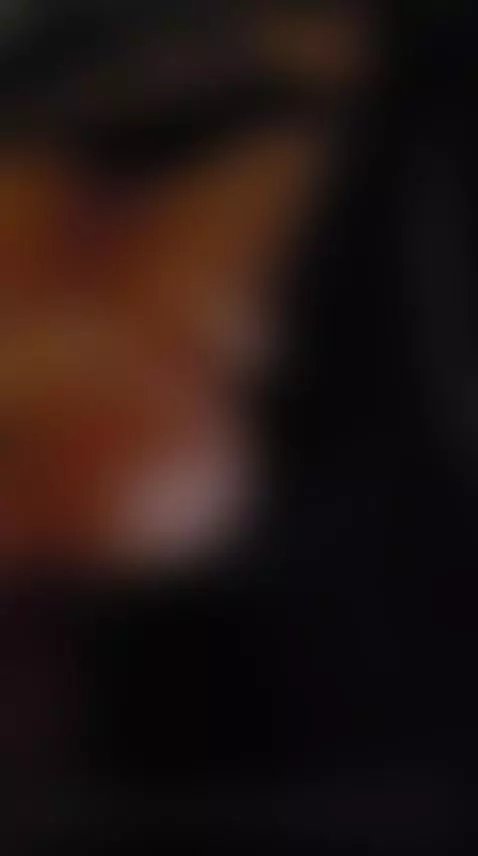 Video by sassysapphire69