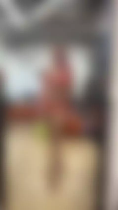 orange ??? 🧡 by krispeachie