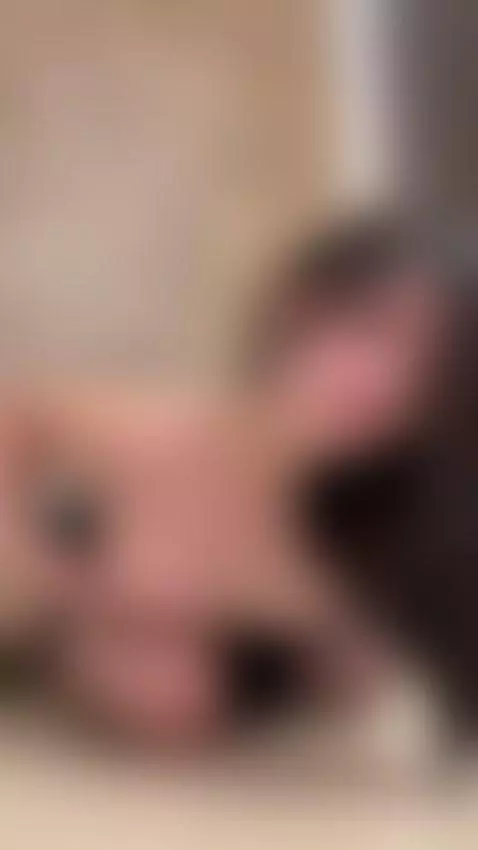 Mmm yes i am very horny by emmawees