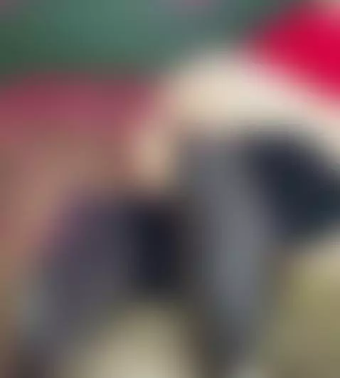 my ugg boots and a great view of my ass by camilaplayfull