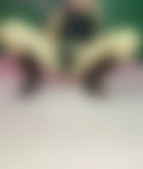 pussy Play by camilaplayfull