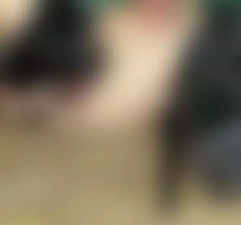 boots insertion by camilaplayfull