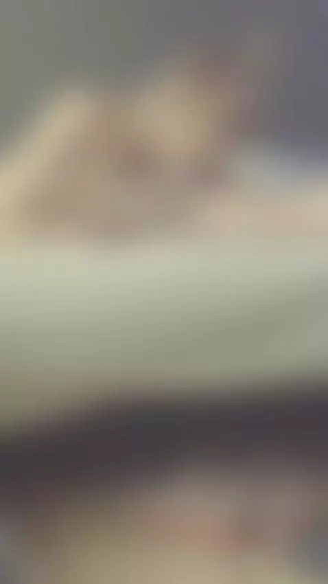 only love by trumpetin