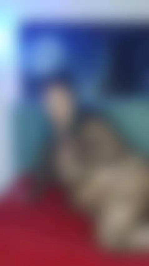 Play Kitty BBW  🖤🥰LIVE NOW by anamariarios