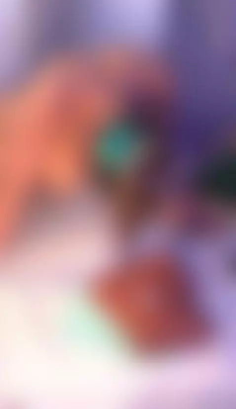 Video by barbaracambels
