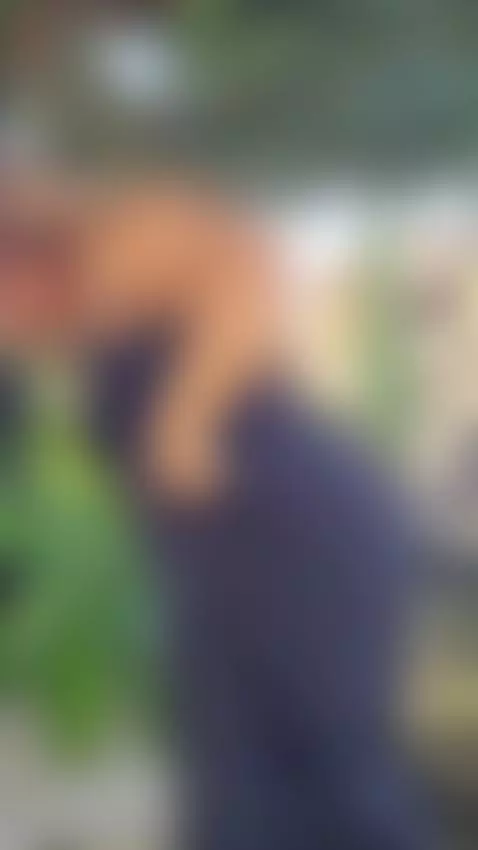 bouncing bounces by rachellqueen1