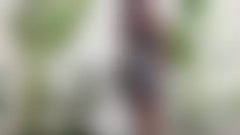 Sweet place by alhanna-ross