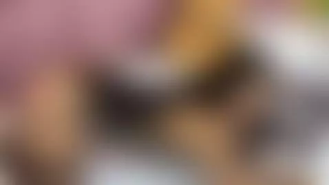 hey love by amy-star