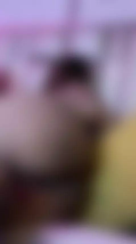 Tus putas mas locas y complacientes by labullockperu