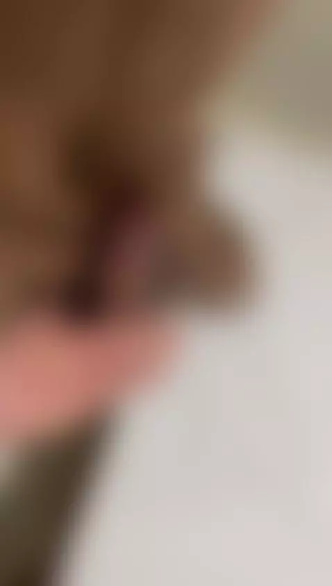 wanna my underwear only for u? Find out on Stripchat! by vboyxxxperformer