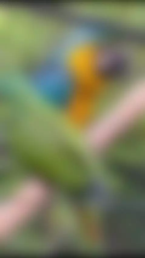 I disappeared because I was busy living: camping, nature and... by gabymanson1