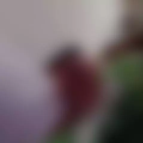 bigdick, dick, handjob by 1user777
