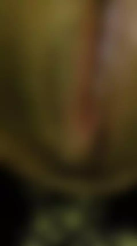 Juicy pussy after fucking... my god her pussy is so wet and ... by putitagesellina