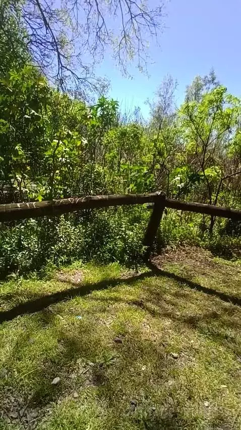 Free Tits - Tetas libres
https://onlyfans.com/putitagesellin... by putitagesellina