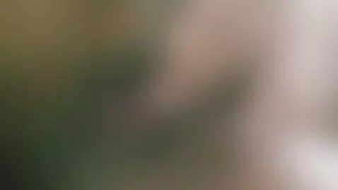 needysluts, pussy, godpussy by belljhones