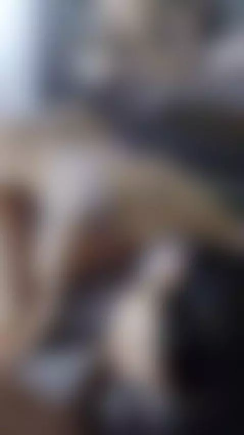 We got a new toy to play by abbychad09