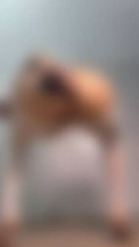 fuck ass hard       🥵🍑😈🔥 by paolaarodriguez