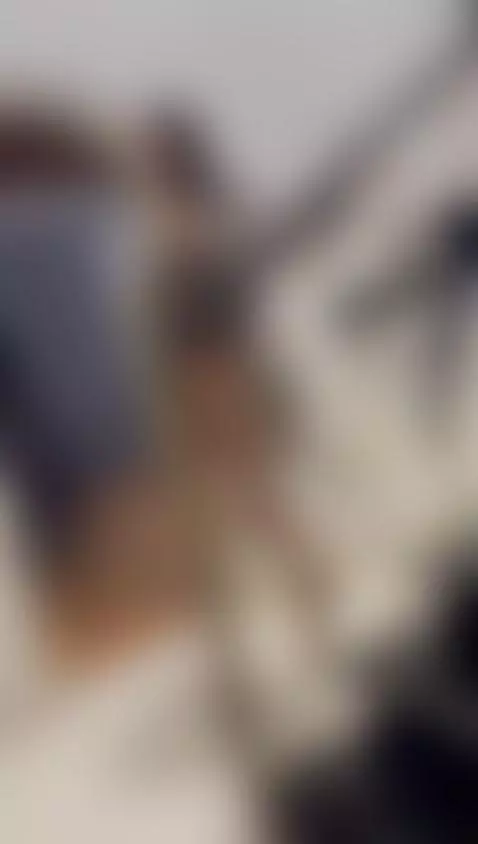 🧁 by chaneladamss