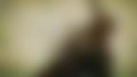 Skirt's up, playtime begins. Don't miss this. by taniared