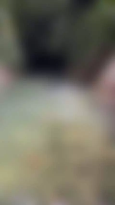 There's nothing like being in nature 🍃 by medstone