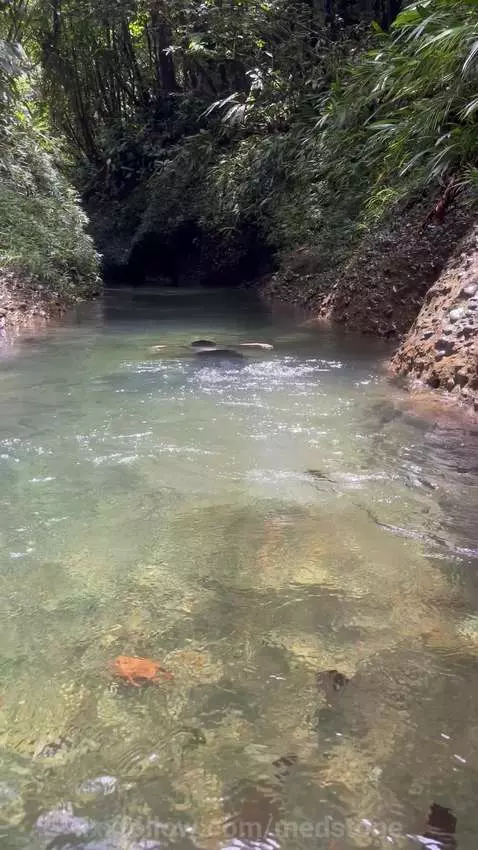 There's nothing like being in nature 🍃 by medstone