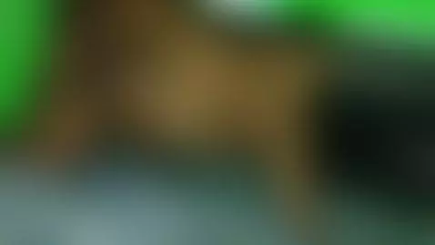 Sexo duro con esta gordita colombiana by mattyadribella