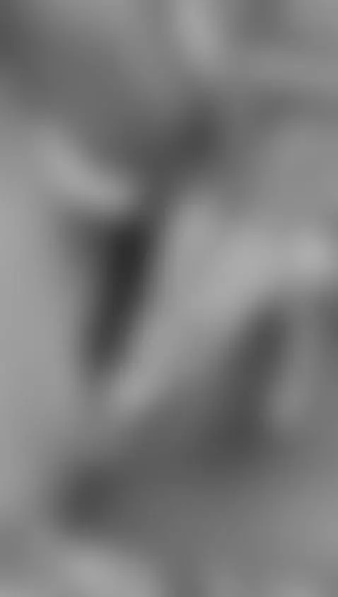 What do you want to do today? by kandyy-brown