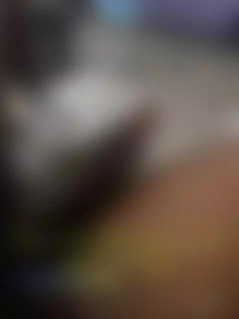 RATE HIM  NOW by submissivesapphire