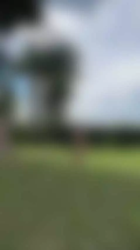 My tits needed to breathe 😌🍃 by alaskarosse