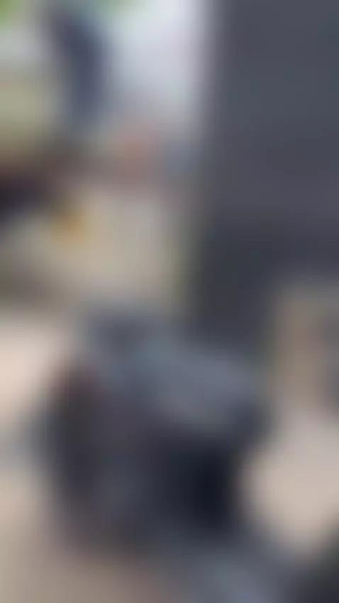 I get a little mischievous when I know there are curious loo... by alaskarosse