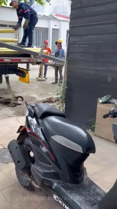 I get a little mischievous when I know there are curious loo... by alaskarosse