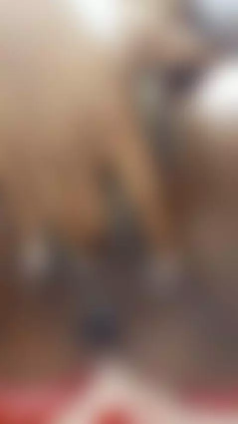 Close-up bby Open Wide by pebbles-rubble