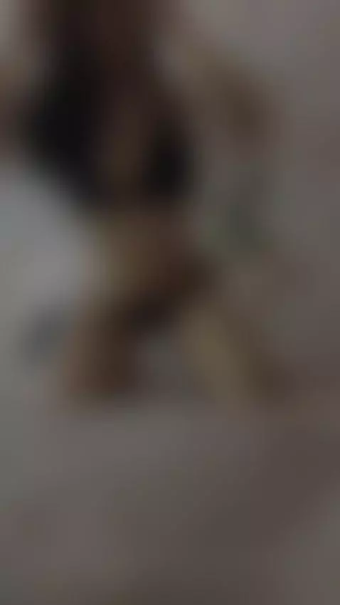 Naughty for your cock ready to get my pussy wet and full of ... by hannacollins01